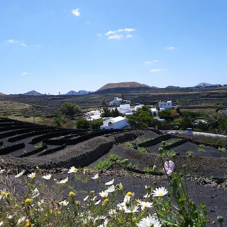 Tisalaya * 蒂纳霍