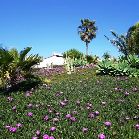 Tisalaya