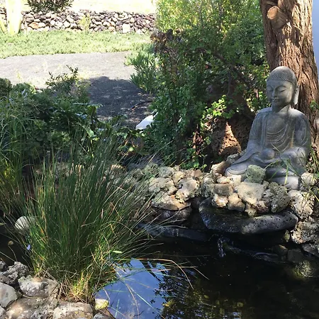 Tisalaya 山林小屋 蒂纳霍