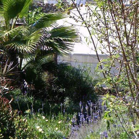 Tisalaya